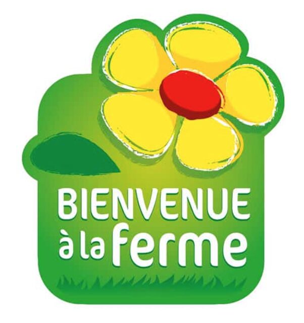logo BF